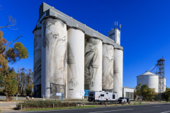 17-2-Coonalpyn-Silo-2